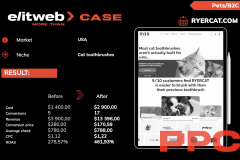 Success for RYERCAT – Boosting Conversions & Revenue